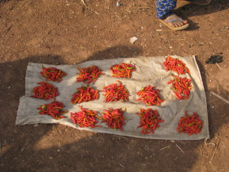 05 Piment